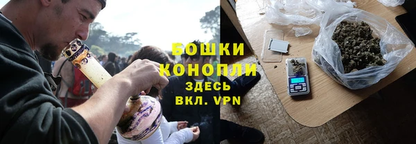 сатива Верхний Тагил