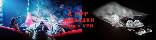гашик Ростов