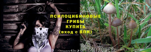 сатива Верхний Тагил