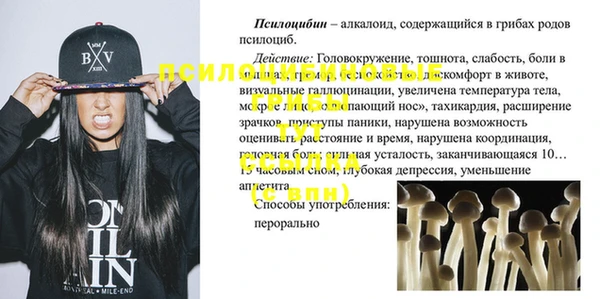 сатива Верхний Тагил