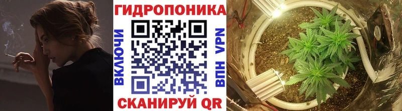 omg как войти  купить наркоту  Вышний Волочёк  Конопля семена 